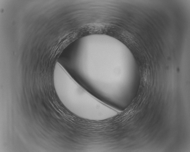 X0000054440964200507290922