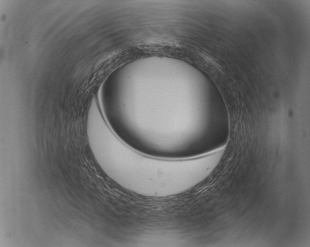 X0000054440965200507290922
