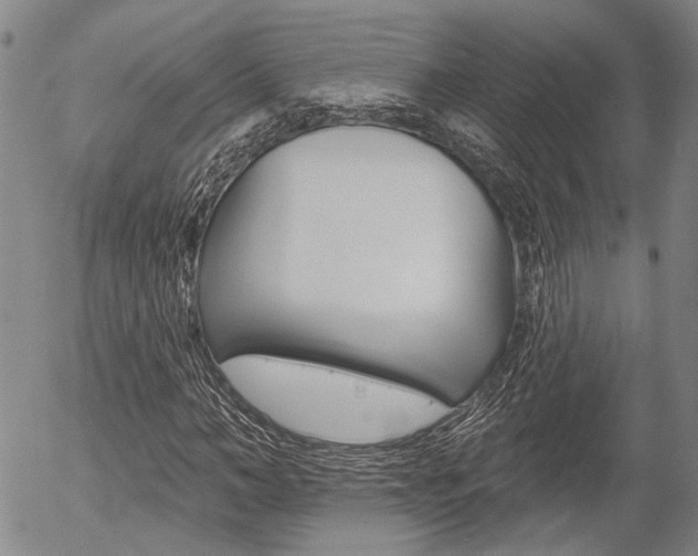X0000054440966200507290922