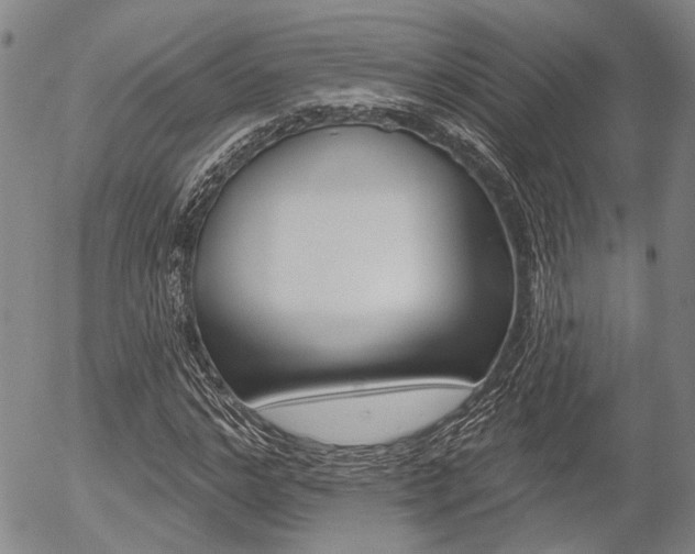 X0000054440968200507290922