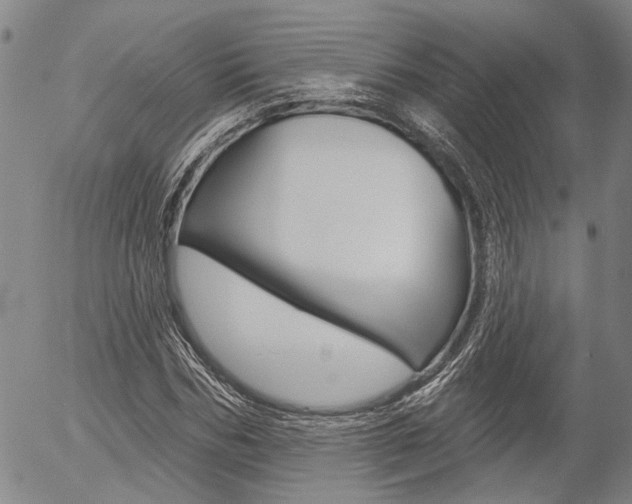 X0000054440970200507290922