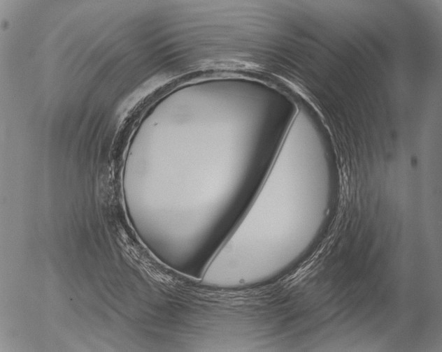 X0000054440971200507290922
