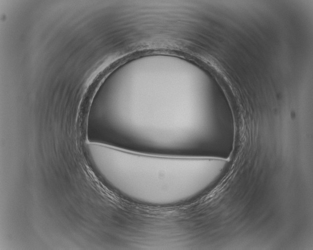 X0000054440975200507290922