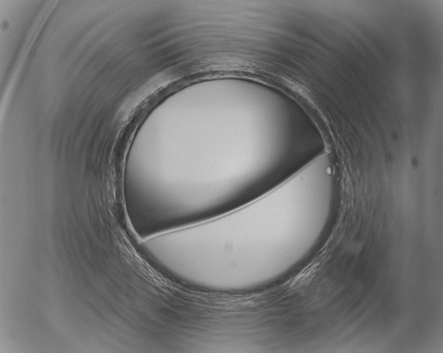 X0000054440979200507290922