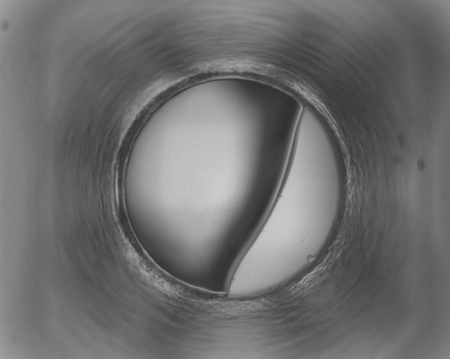 X0000054440984200507290922