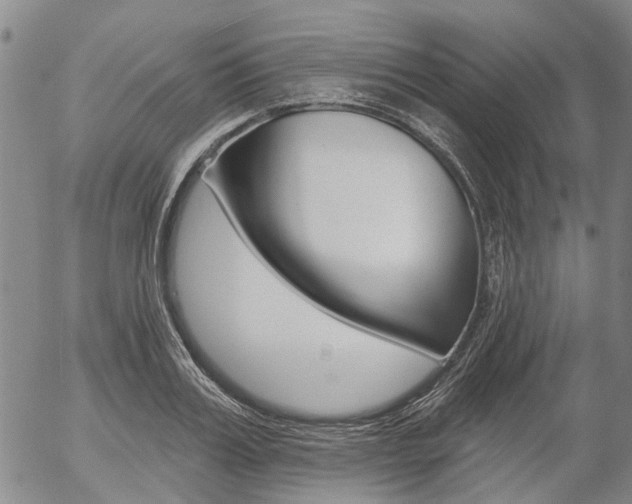 X0000054440987200507290922