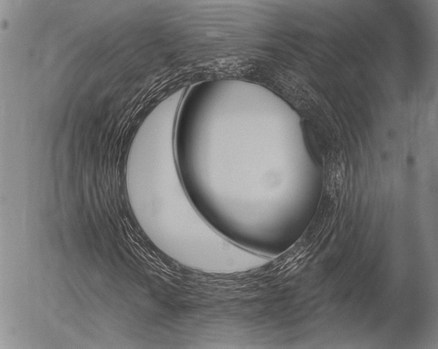 X0000054441010200507290921