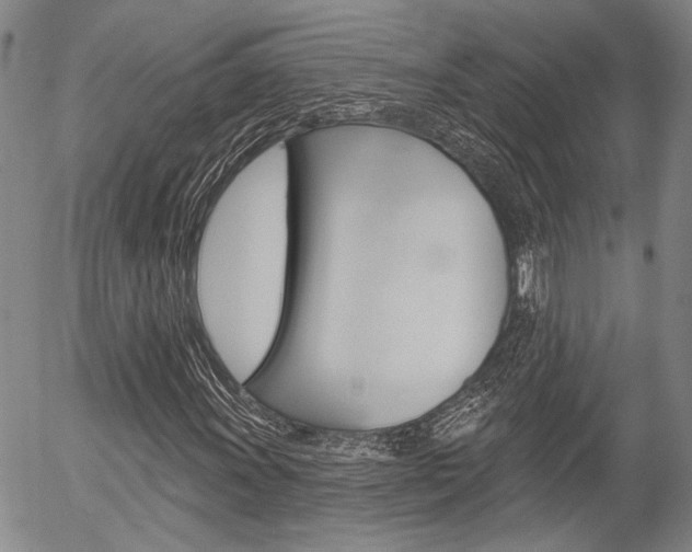 X0000054441011200507290921