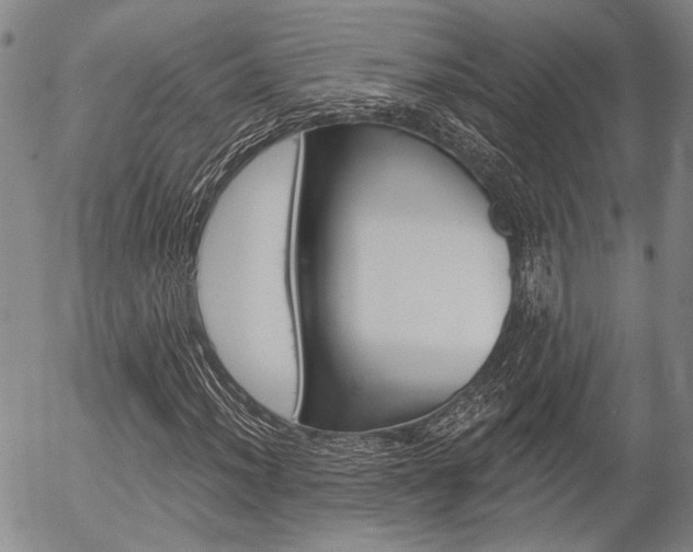 X0000054441012200507290921