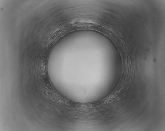 X0000054441013200507290921