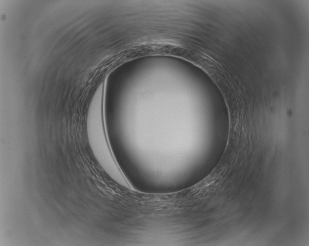 X0000054441014200507290921