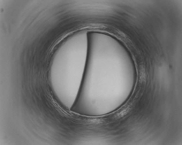 X0000054441017200507290921