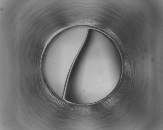 X0000054441020200507290921