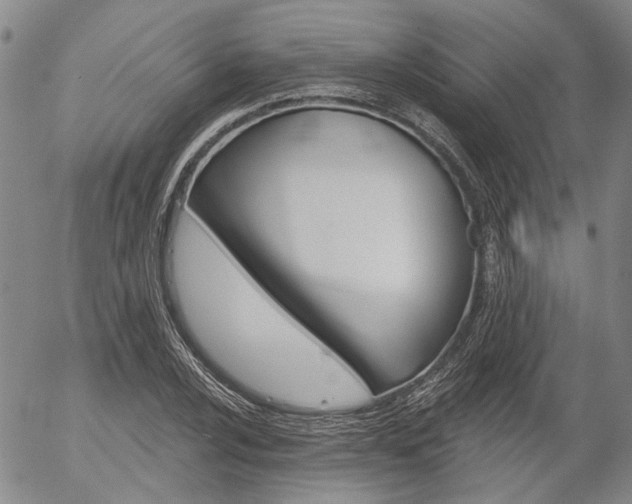 X0000054441024200507290921