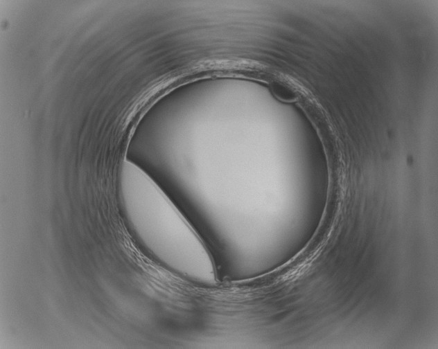 X0000054441025200507290921