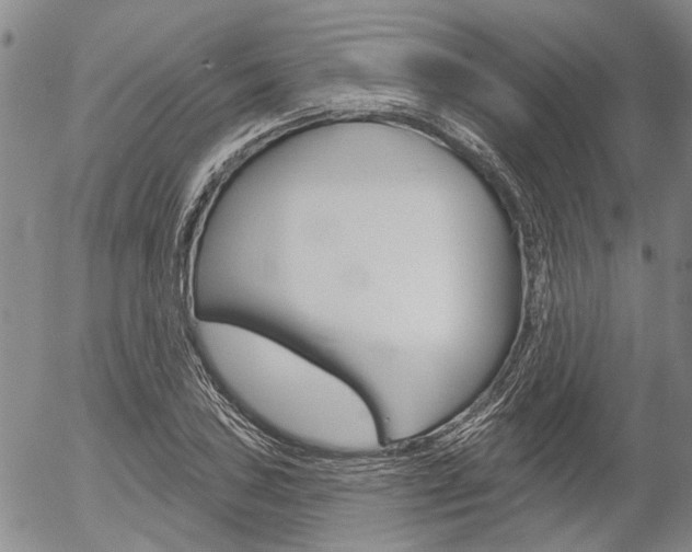 X0000054441027200507290921