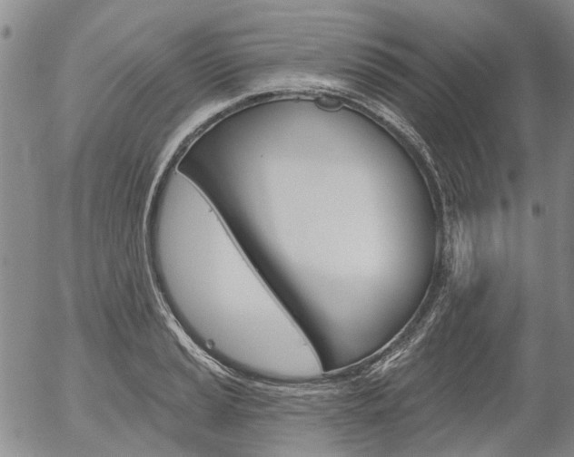 X0000054441037200507290921