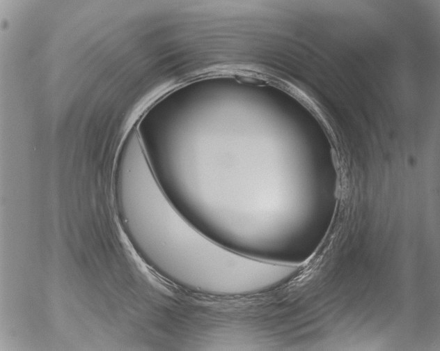 X0000054441050200507290921