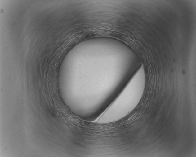 X0000054441057200507290921