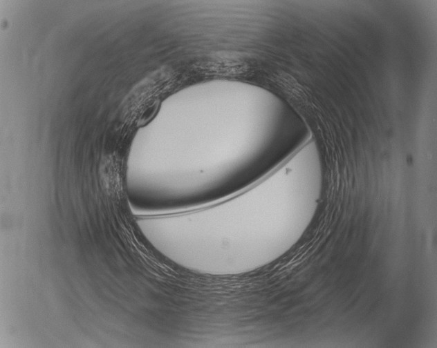 X0000054441058200507290921