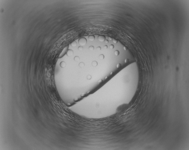 X0000054441059200507290920