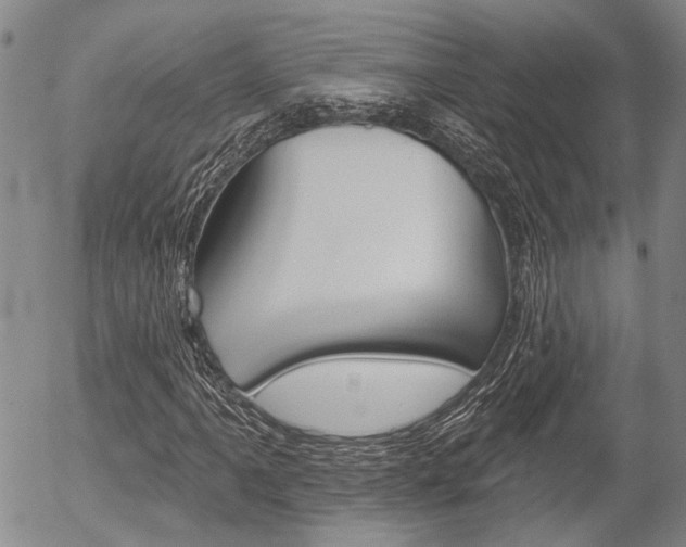 X0000054441061200507290920