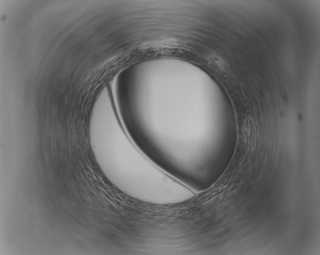 X0000054441062200507290920