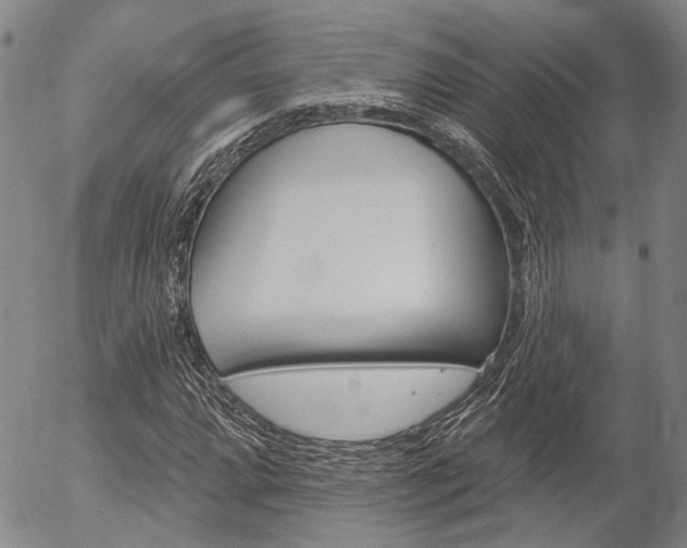 X0000054441064200507290920