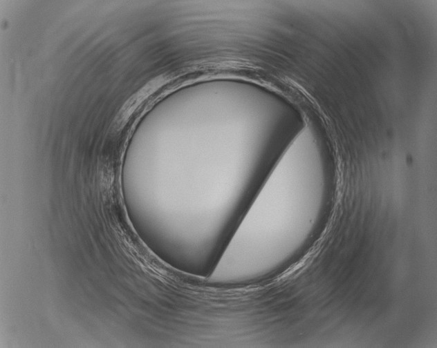 X0000054441065200507290920