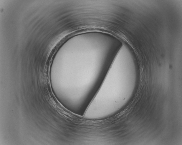 X0000054441068200507290920