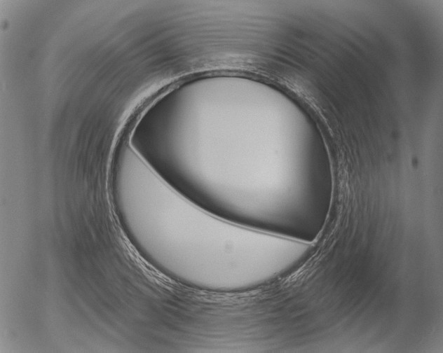 X0000054441072200507290920