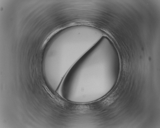 X0000054441115200507290919