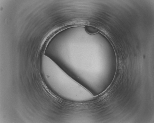 X0000054441123200507290919