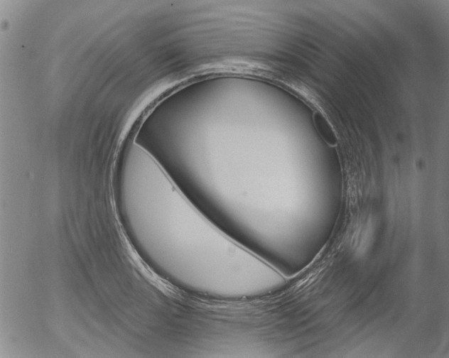 X0000054441131200507290919