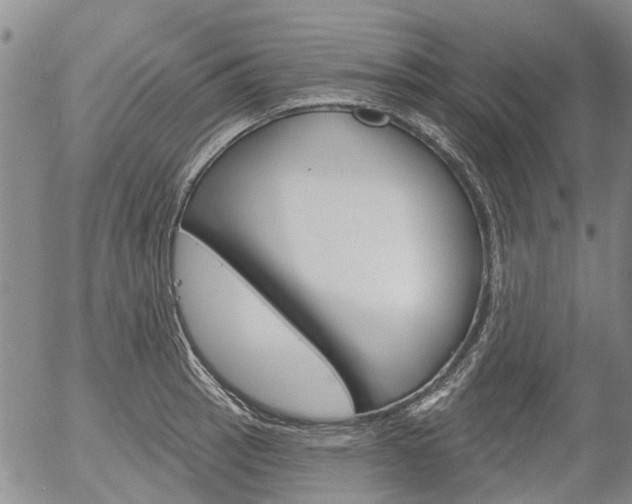 X0000054441137200507290919