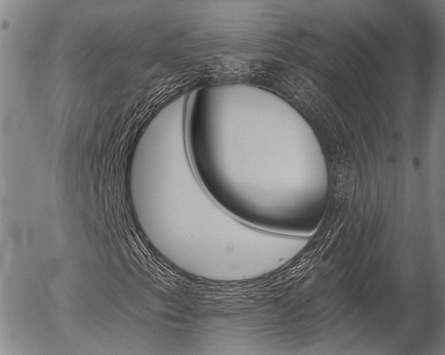 X0000054441153200507290919