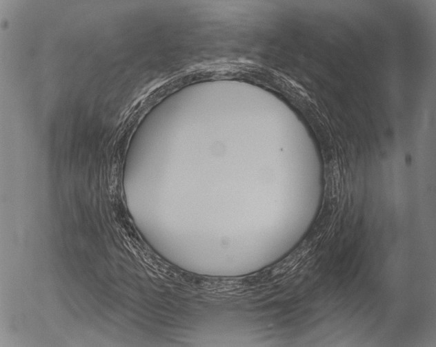 X0000054441158200507290919