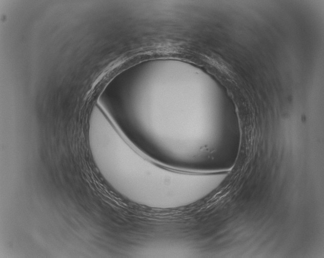 X0000054441160200507290919