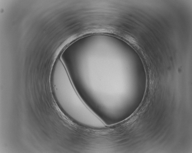 X0000054441181200507290918