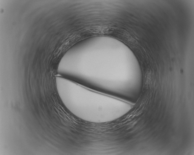X0000054441202200507290917