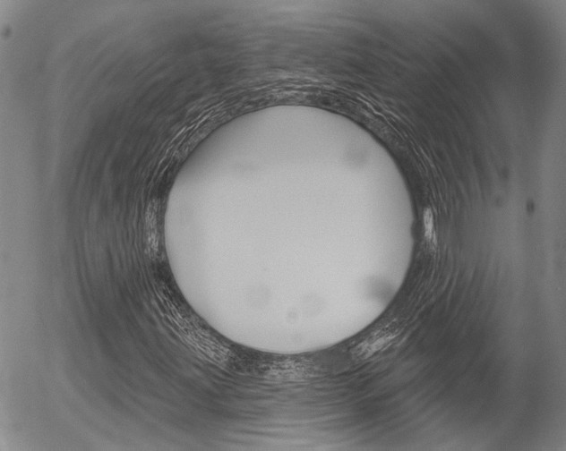 X0000054441203200507290917