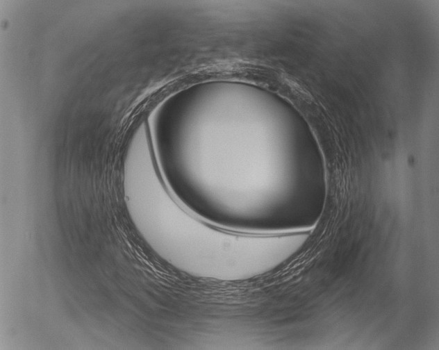 X0000054441206200507290917