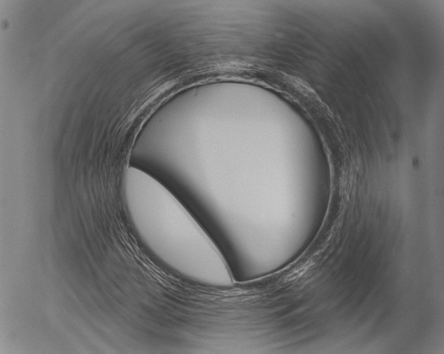 X0000054441209200507290918