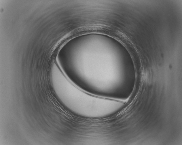 X0000054441210200507290918