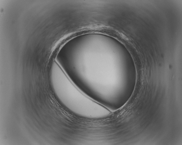 X0000054441214200507290918