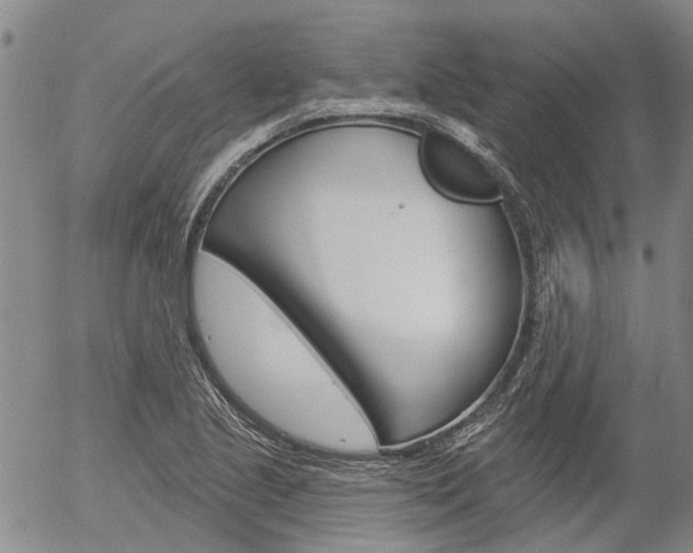 X0000054441221200507290918