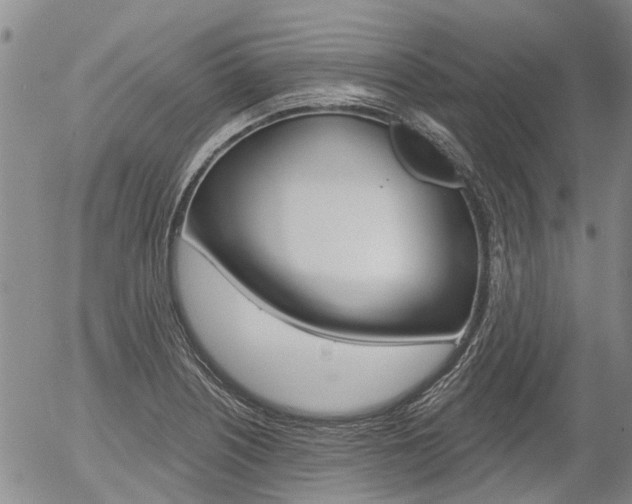 X0000054441226200507290918