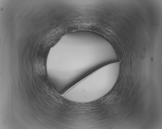 X0000054441252200507290917
