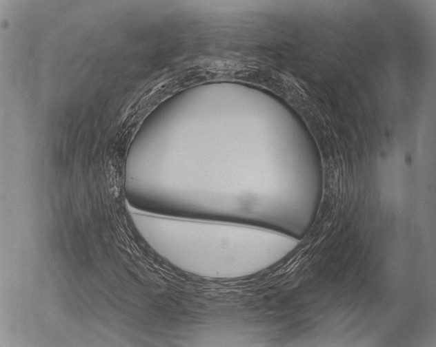X0000054441253200507290917