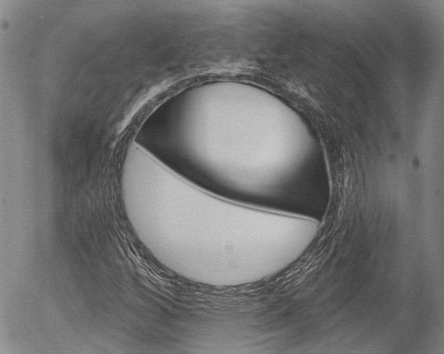 X0000054441256200507290917
